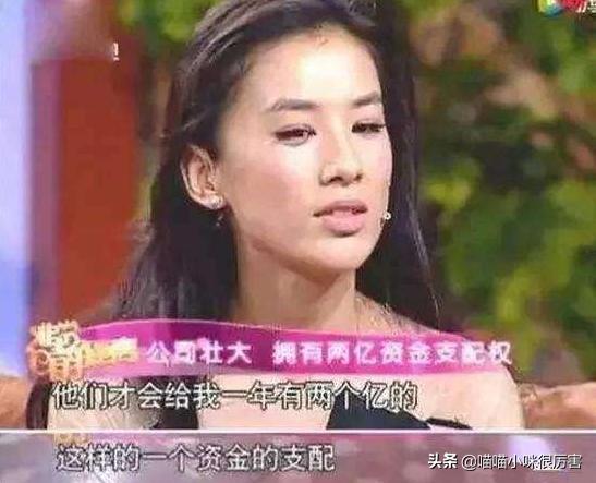 黄圣依财产真相揭秘，未知背后的真相与误解