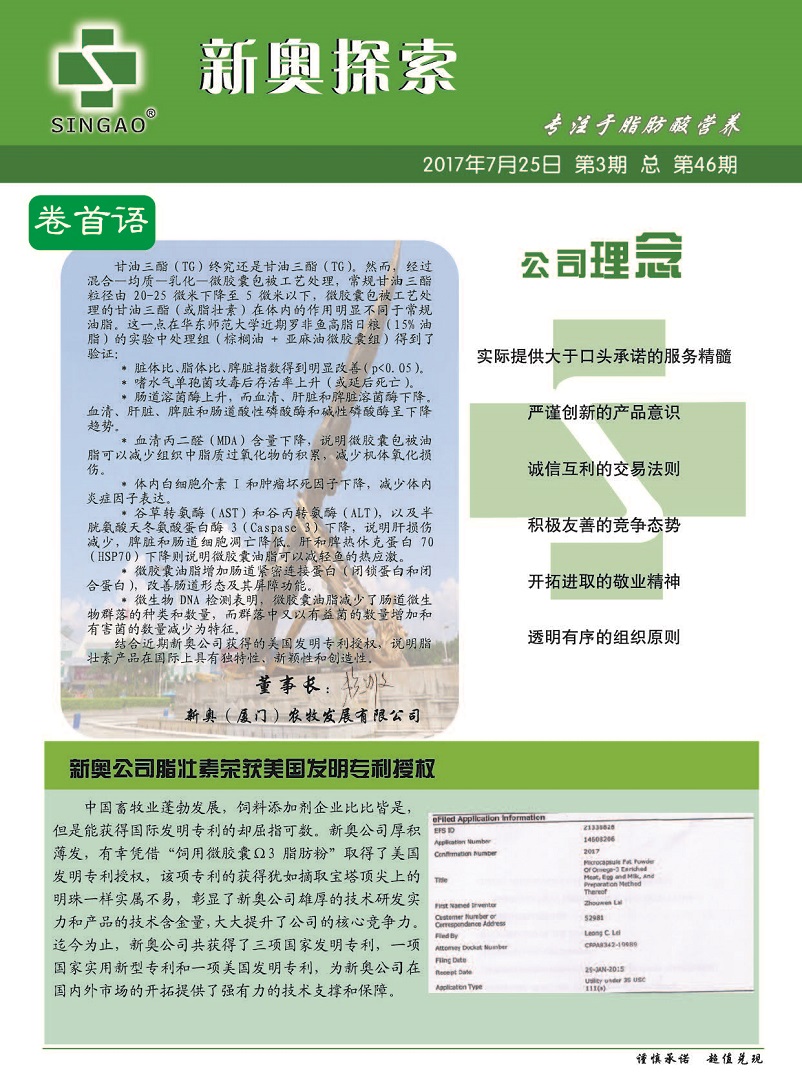 新奥2024正版94848资料，高效性计划实施_Holo66.76.27
