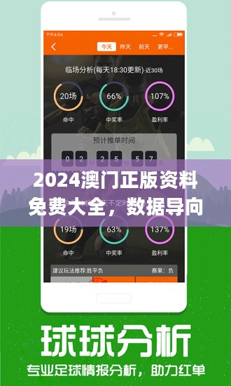 新港澳门免费资料长期公开，实地数据验证策略_顶级版70.22.40