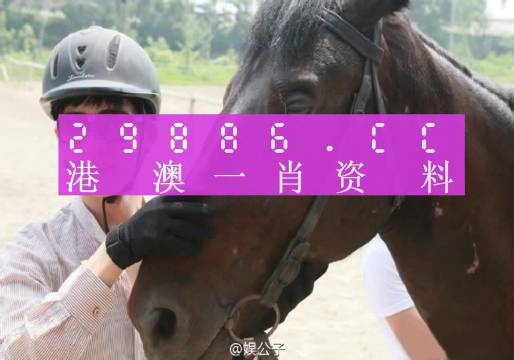 挚充新能源 第859页